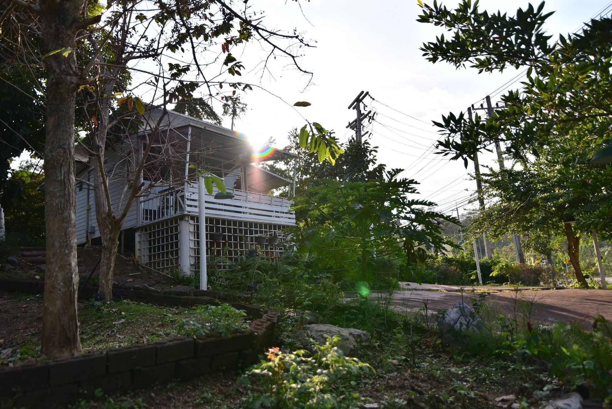 Bambusa Nakhon Ratchasima Exterior photo